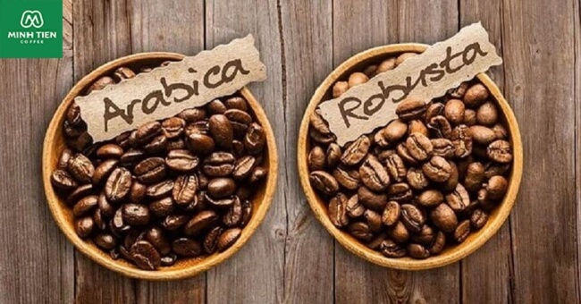Tập đoàn Minh Tiến dự định áp dụng "công thức thành công" trên thị trường quốc tế đã từng làm với hạt arabica cho hạt robusta.