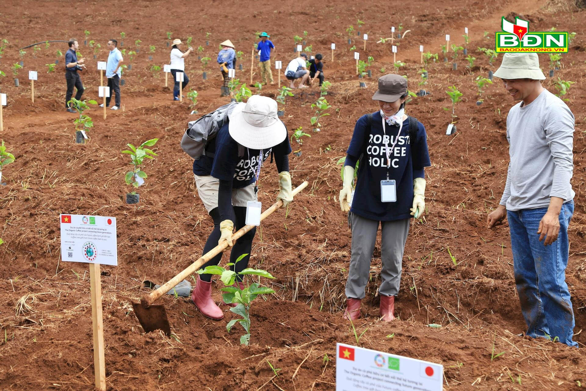 Các vị khách trong và ngoài nước tham gia buổi Lễ xuống giống tại Future Coffee Farm ở Đắk Song