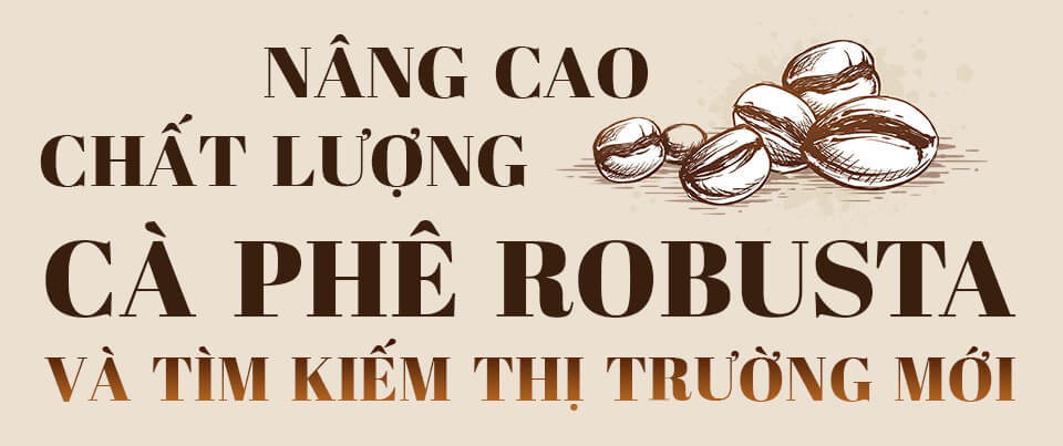 Vượt Qua Bất Ổn: Cà Phê Robusta Việt Nam “Lên Hương” Nhờ Con Đường Canh Tác Hữu Cơ | Future Coffee Farm 10
