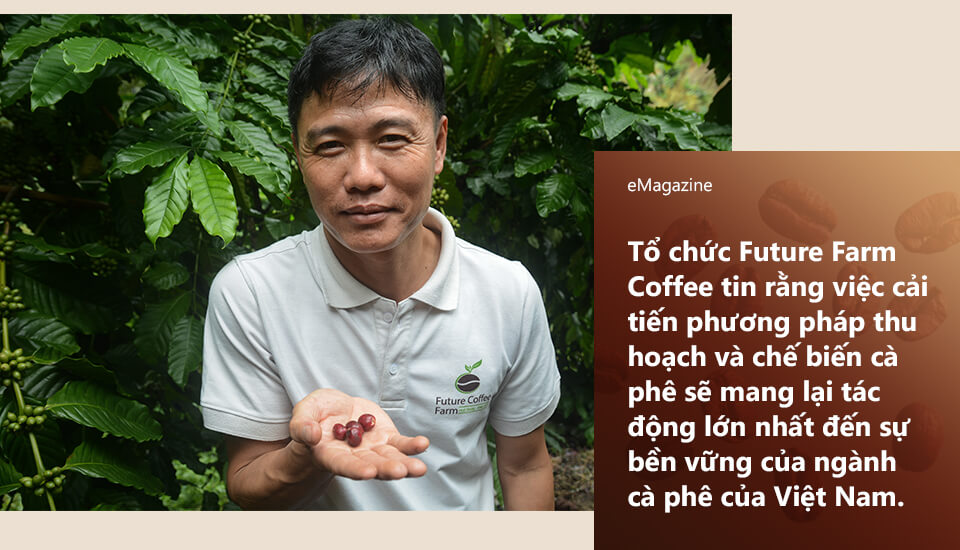 Vượt Qua Bất Ổn: Cà Phê Robusta Việt Nam “Lên Hương” Nhờ Con Đường Canh Tác Hữu Cơ | Future Coffee Farm 4