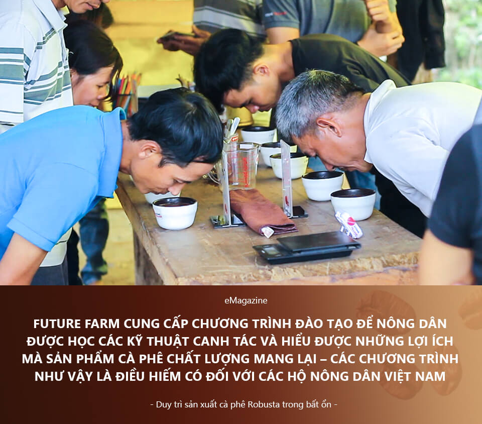 Vượt Qua Bất Ổn: Cà Phê Robusta Việt Nam “Lên Hương” Nhờ Con Đường Canh Tác Hữu Cơ | Future Coffee Farm 8