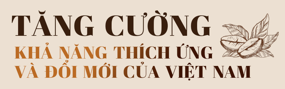 Vượt Qua Bất Ổn: Cà Phê Robusta Việt Nam “Lên Hương” Nhờ Con Đường Canh Tác Hữu Cơ | Future Coffee Farm 9