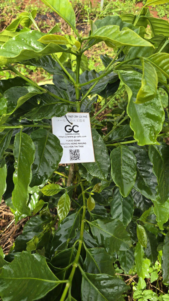 Ảnh Khách Hàng GARDEN COFFEE | Future Coffee Farm 1