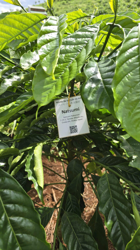 Ảnh Khách Hàng N2 COFFEE | Future Coffee Farm 1