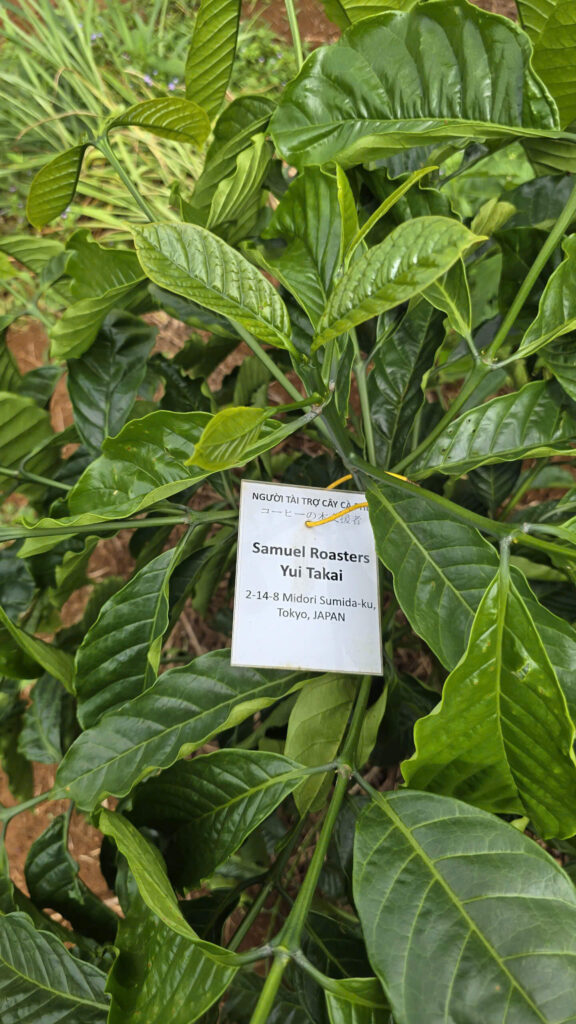 Ảnh Khách Hàng SAMUEL ROASTERS YUI TAKAI | Future Coffee Farm 1