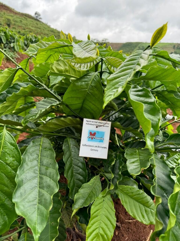 Ảnh Khách KAFFEEROSTEREI AM AMMERSEE | Future Coffee Farm 1