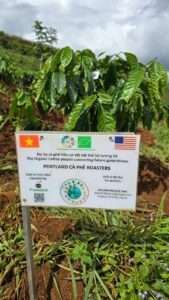 Ảnh Khách Hàng Portland Cà Phê Future Coffee Farm 1
