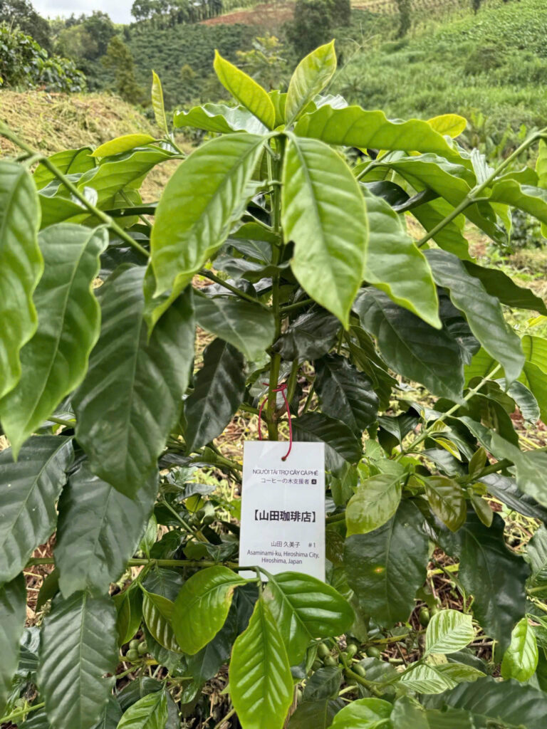 Ảnh Khách Hàng yamada_coffee_roastery Future Coffee Farm 1