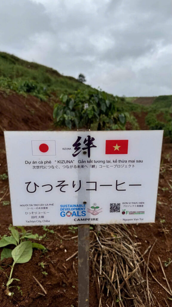 Ảnh Khách Hàng ひっそりコーヒー Future Coffee Farm