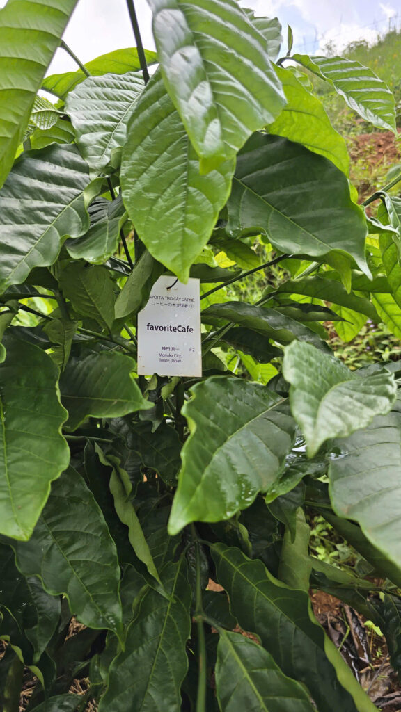 Ảnh Khách Hàng フェイバリットカフェ Future Coffee Farm 1