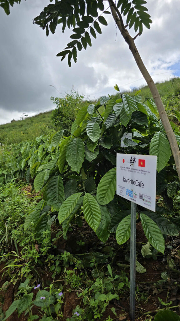 Ảnh Khách Hàng フェイバリットカフェ Future Coffee Farm