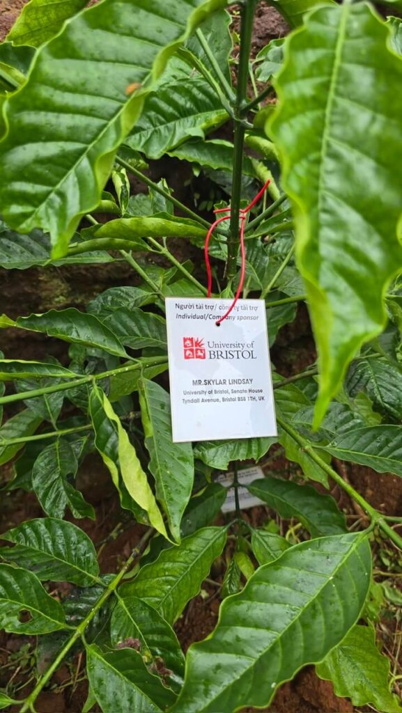 Ảnh Khách Hàng UNIVERSITY OF BRISTOL Future Coffee Farm 1
