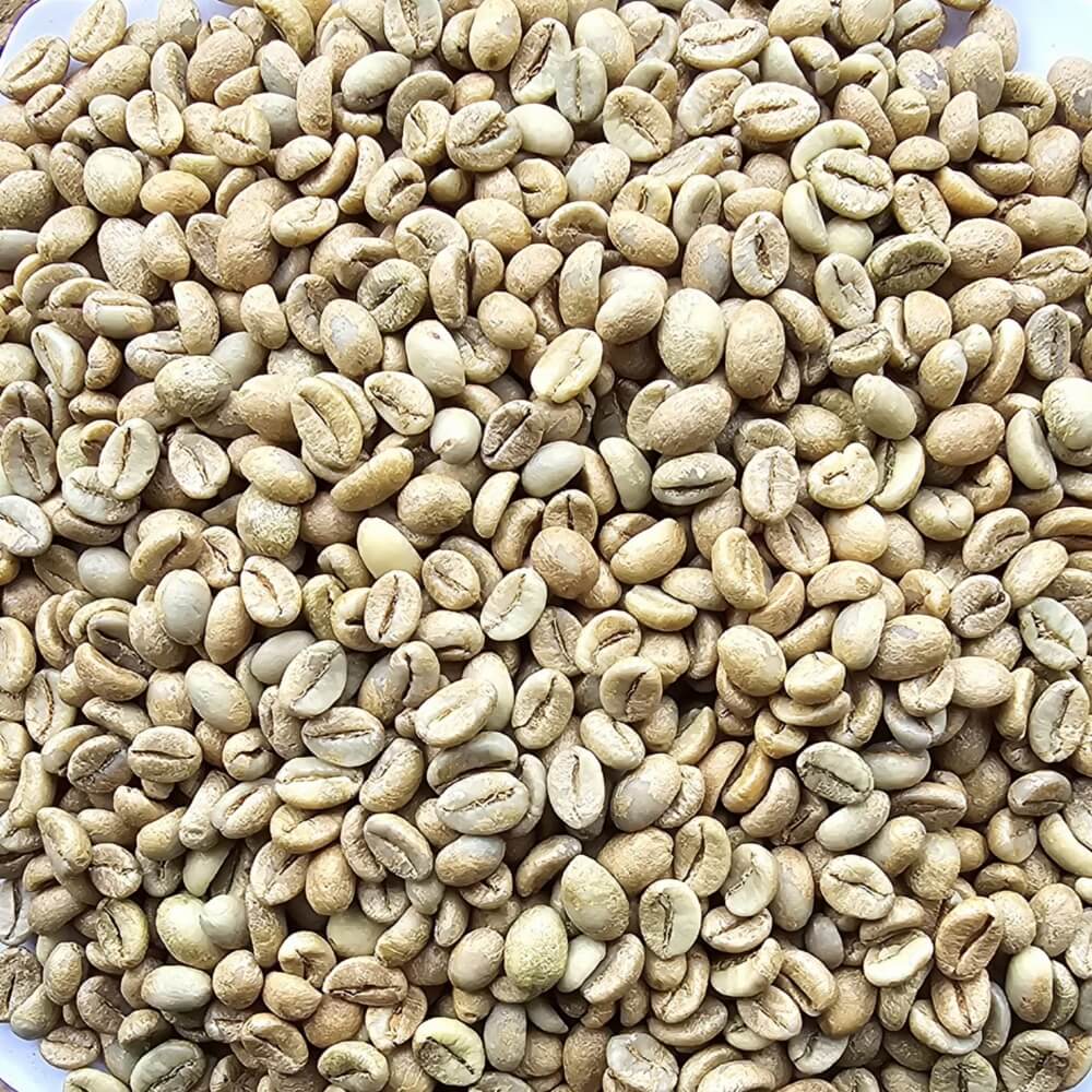 Honey Proccess | Fine Robusta Coffee | Future Coffee Farm EN