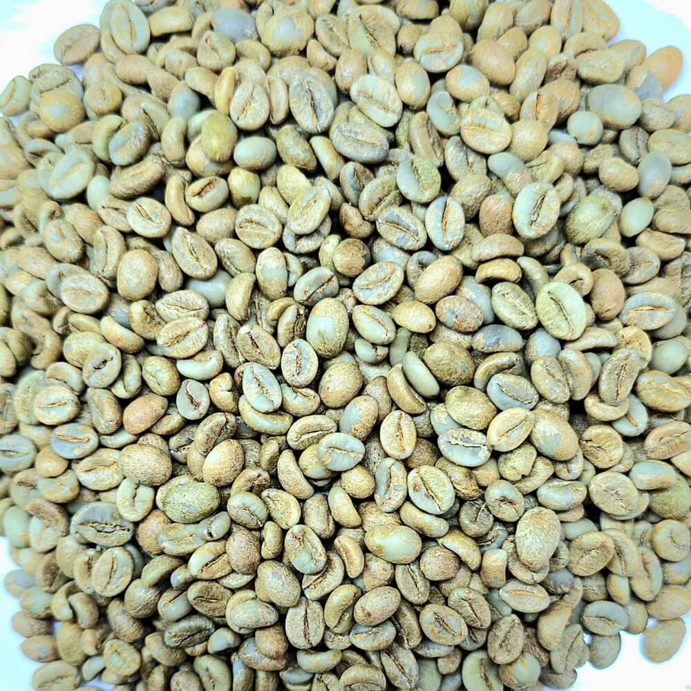 Full Washed Proccess | Fine Robusta Coffee | Future Coffee Farm EN