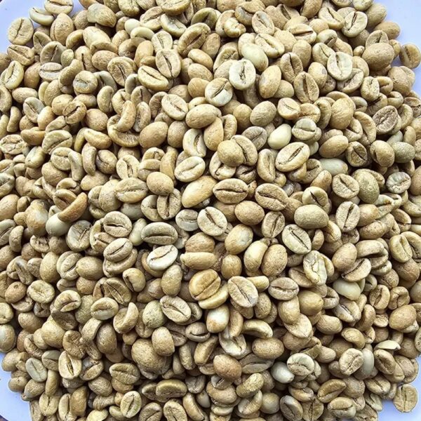 Winey Natural Proccess | Fine Robusta Coffee | Future Coffee Farm EN