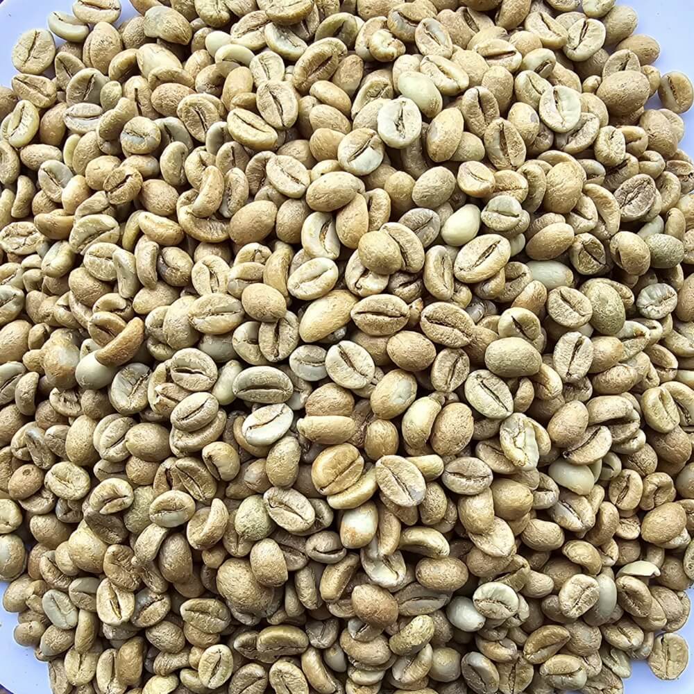 Winey Natural Proccess | Fine Robusta Coffee | Future Coffee Farm EN